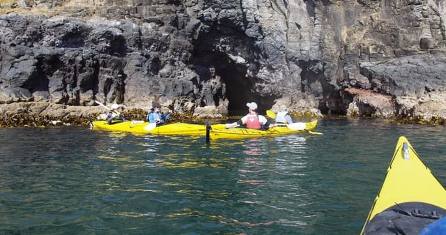 Kayaking and Evening Tour - Photo 1 of 1